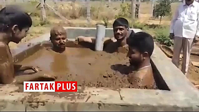 حمام پهن برای پیشگیری از ابتلا...