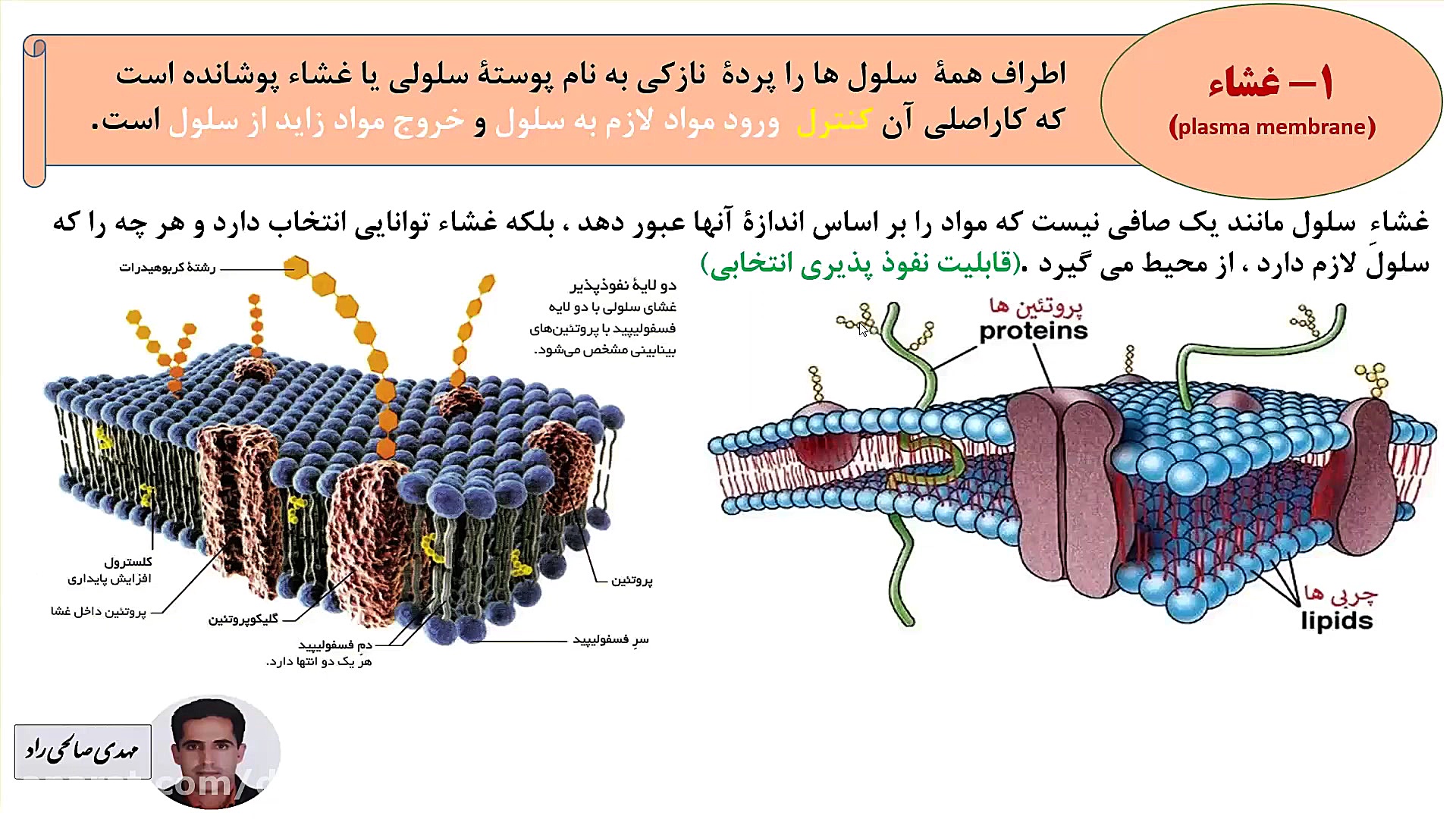 علوم هفتم  فصل 11  مبحث یاخته...