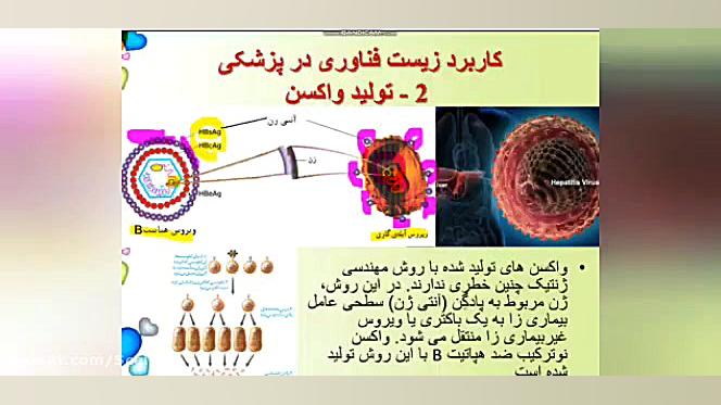 تدریس زیست فصل هفتم گفتار3 کلا...