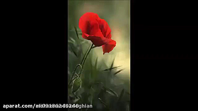 داستان مردی که زنا نکرد و........