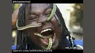 ( مارهای جهنم ) دانلود به شرط...