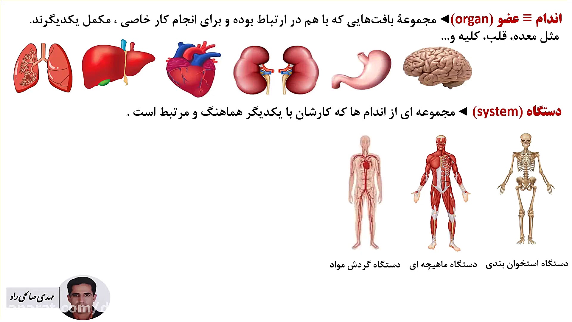 علوم هفتم  فصل 11  مبحث یاخته...