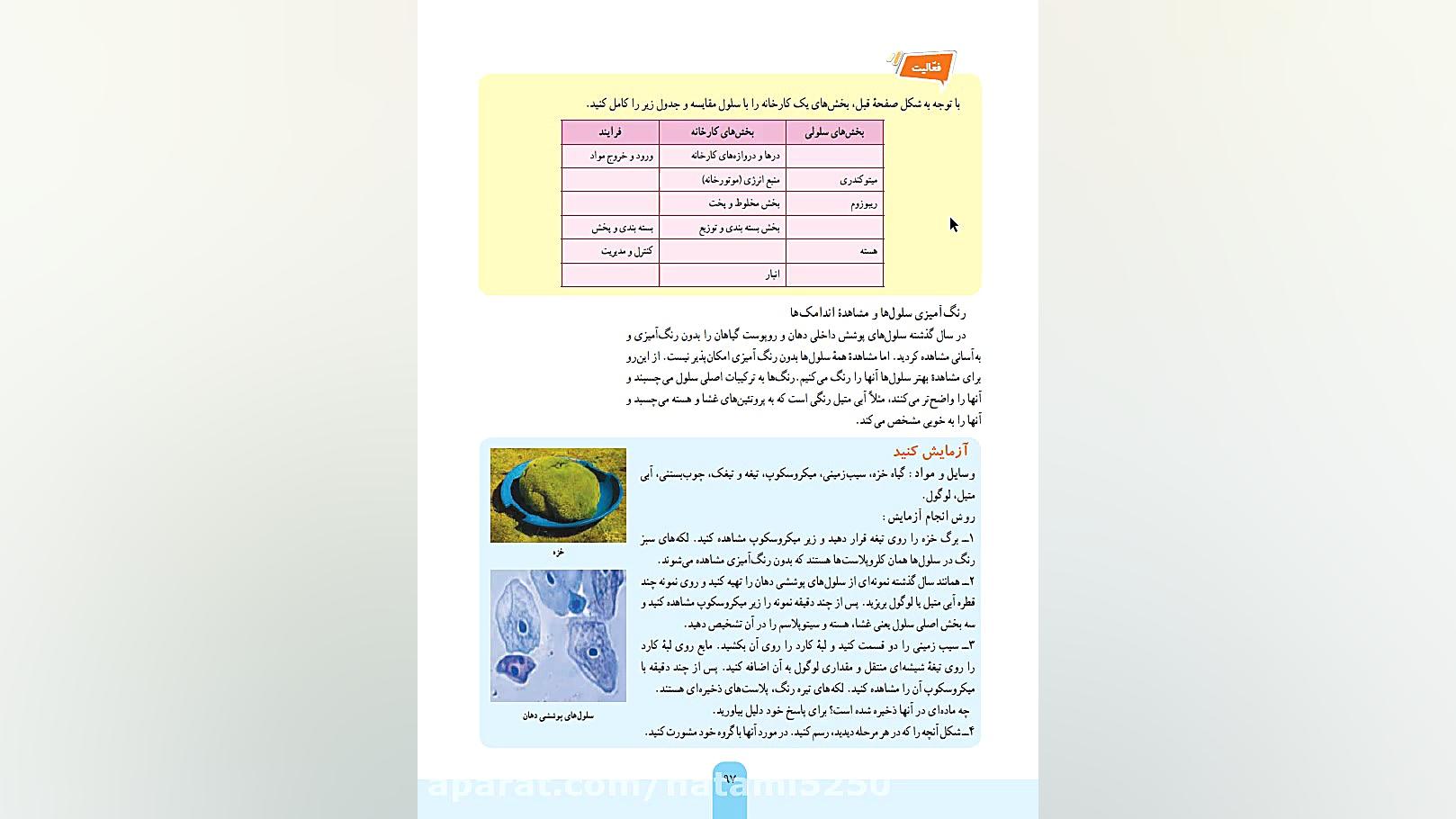 فصل 11 علوم هفتم