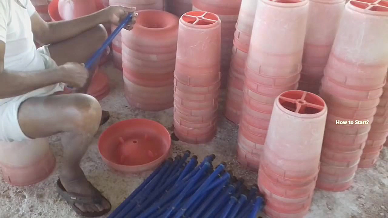 انواع بیماری در مرغداران گوشتی