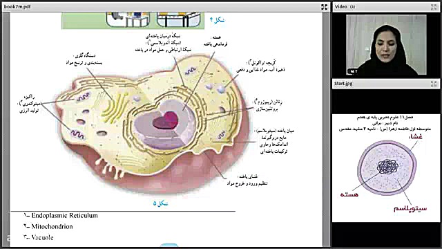 فصل 11 علوم تجربی پایه ی هفتم