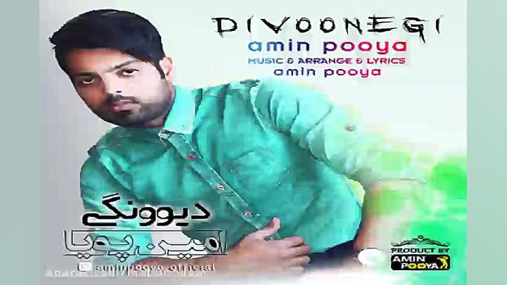 آهنگ امین پویا  دیوونگی
