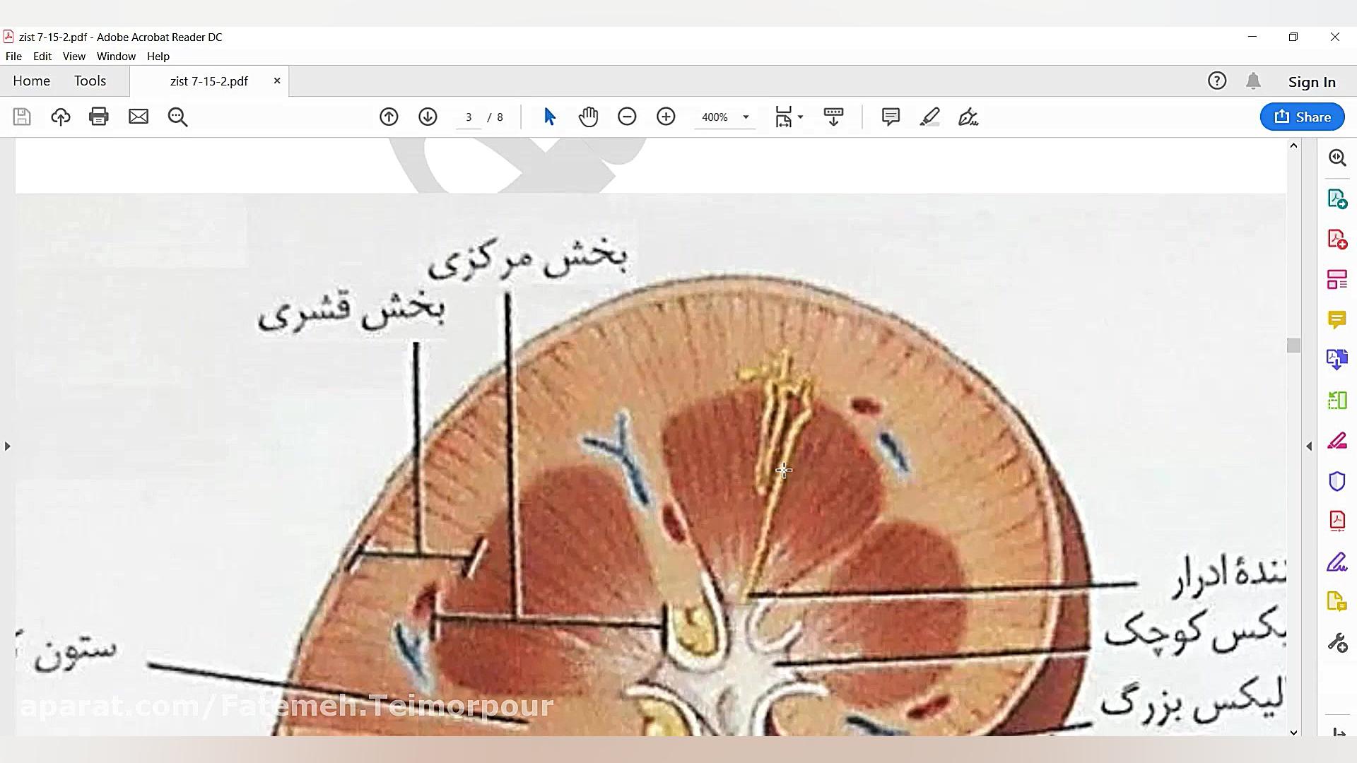 زیست شناسی هفتم. کلیه ۲. مدرسه...