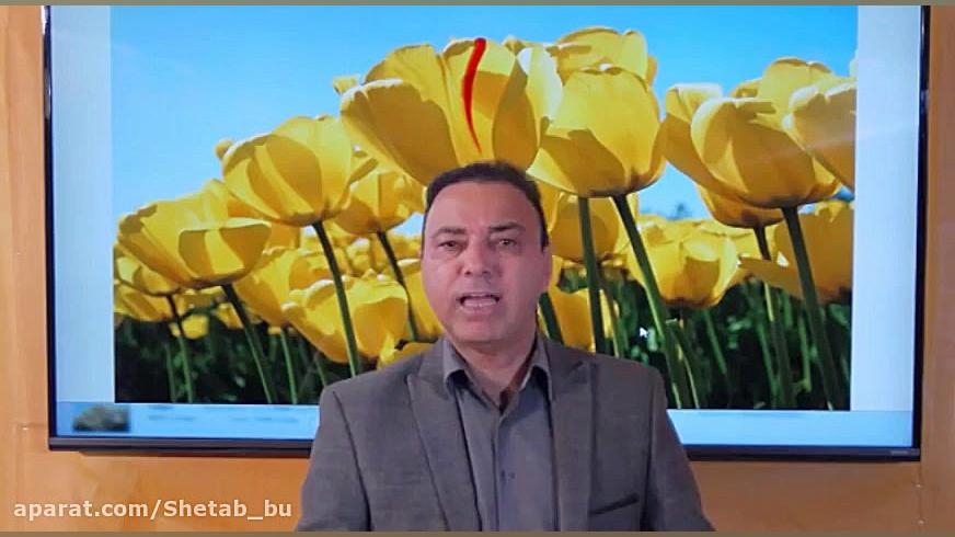 جلسه ششم &ndash; درس مشاوره