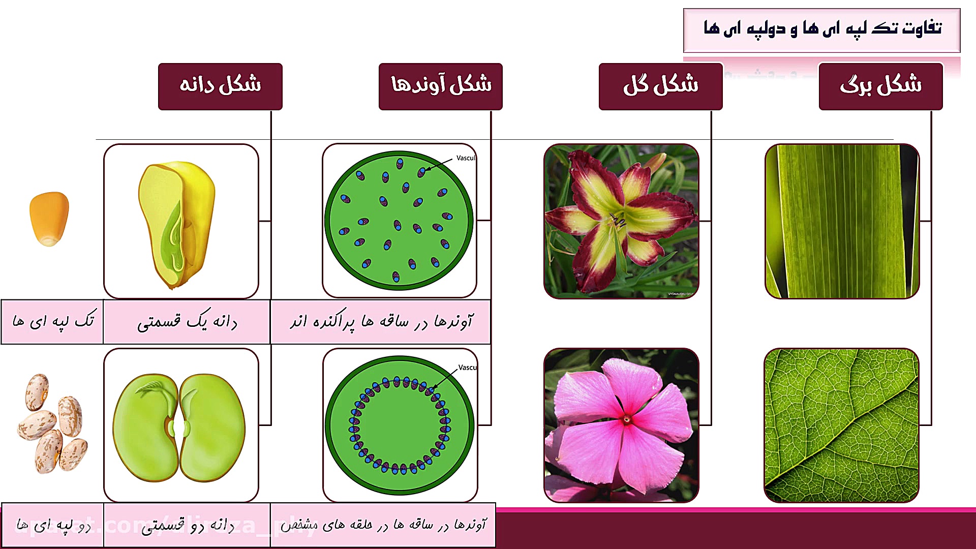 علوم نهم، فصل 12، بخش دوم