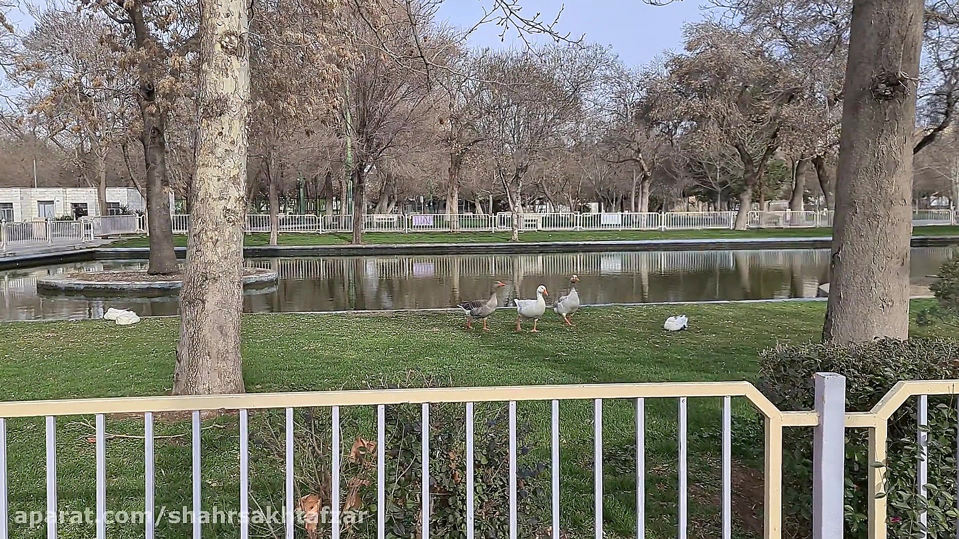 نمونه فیلمبرداری 4K نرخ 60 فری...