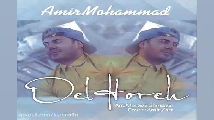 آهنگ امیر محمد  دلهره