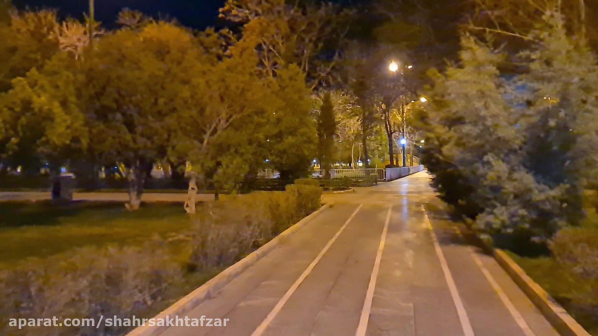 نمونه ویدئو فیلمبرداری شب گلکس...