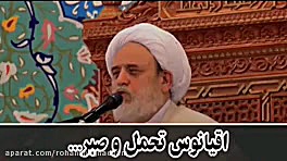 ۲ مصیبتی که بر حضرت زینب(س) بس...