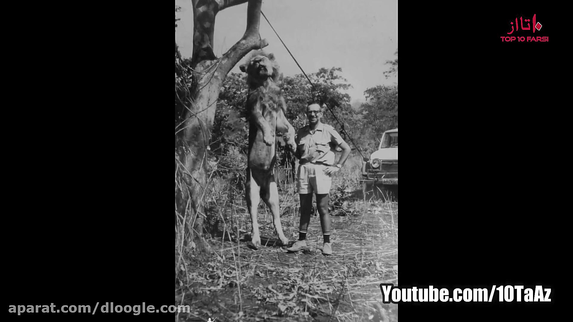 مخوف ترین موجوداتی که تا بحال...