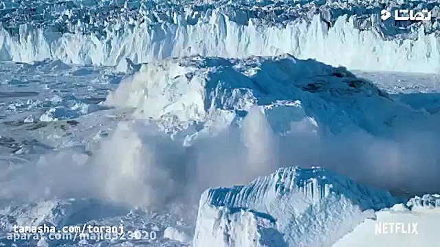 تریلر جذاب مستند حیوانات