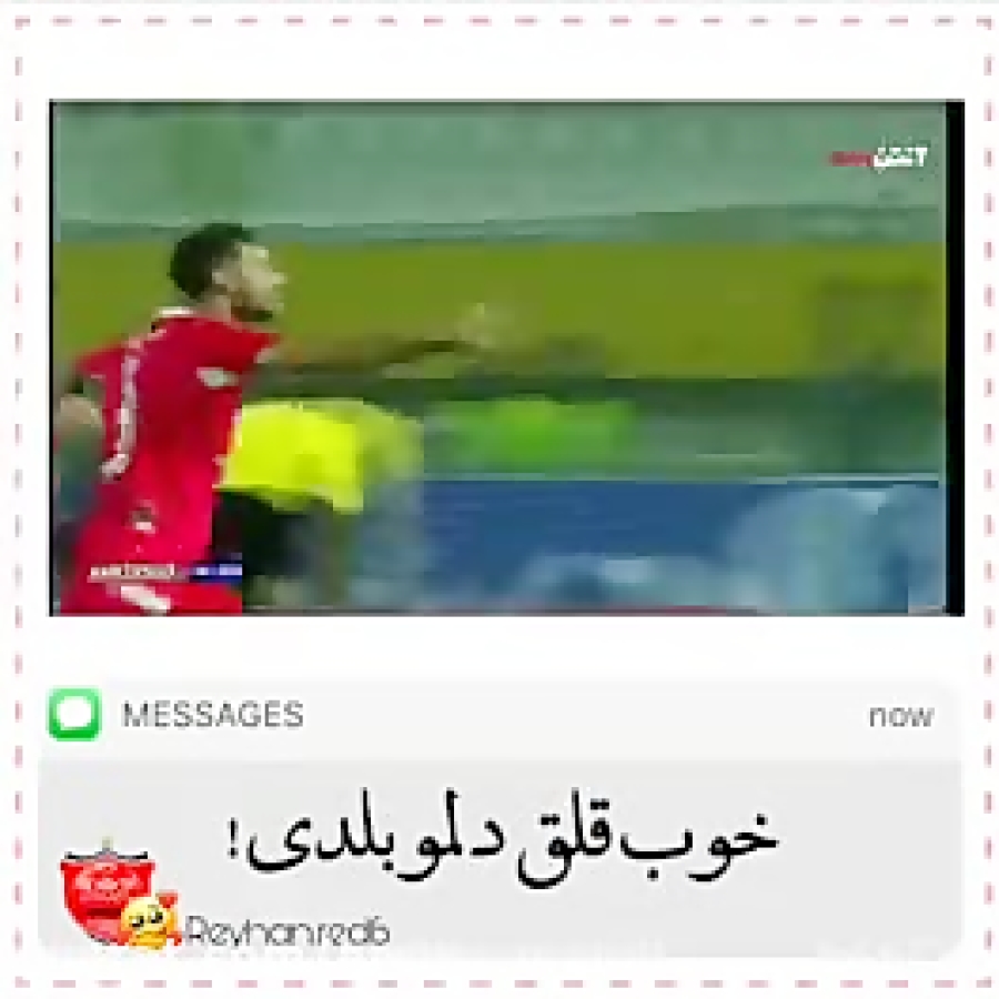 دیوانه وار عاشقتم