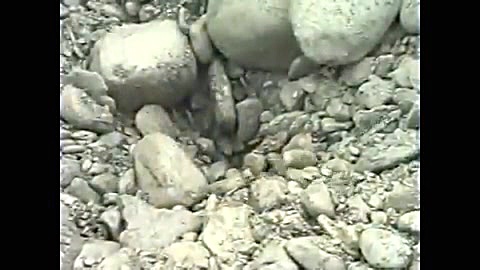 راه اندازی خط کامل خردایش و دا...