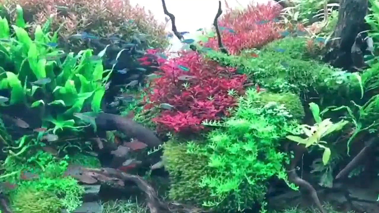 آرامش در خانه شما با راه انداز...