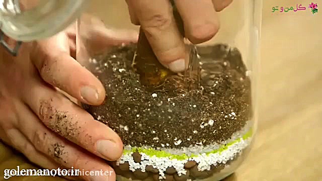 ساخت تراریوم شیک و خوشگل