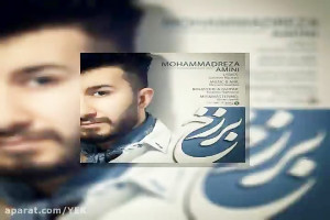 آهنگ محمدرضا امینی  برزخ