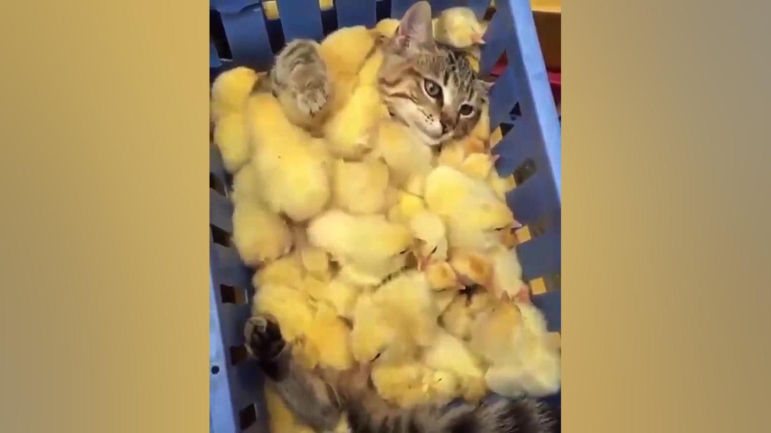 منو این همه خوشبختی محاله !!!