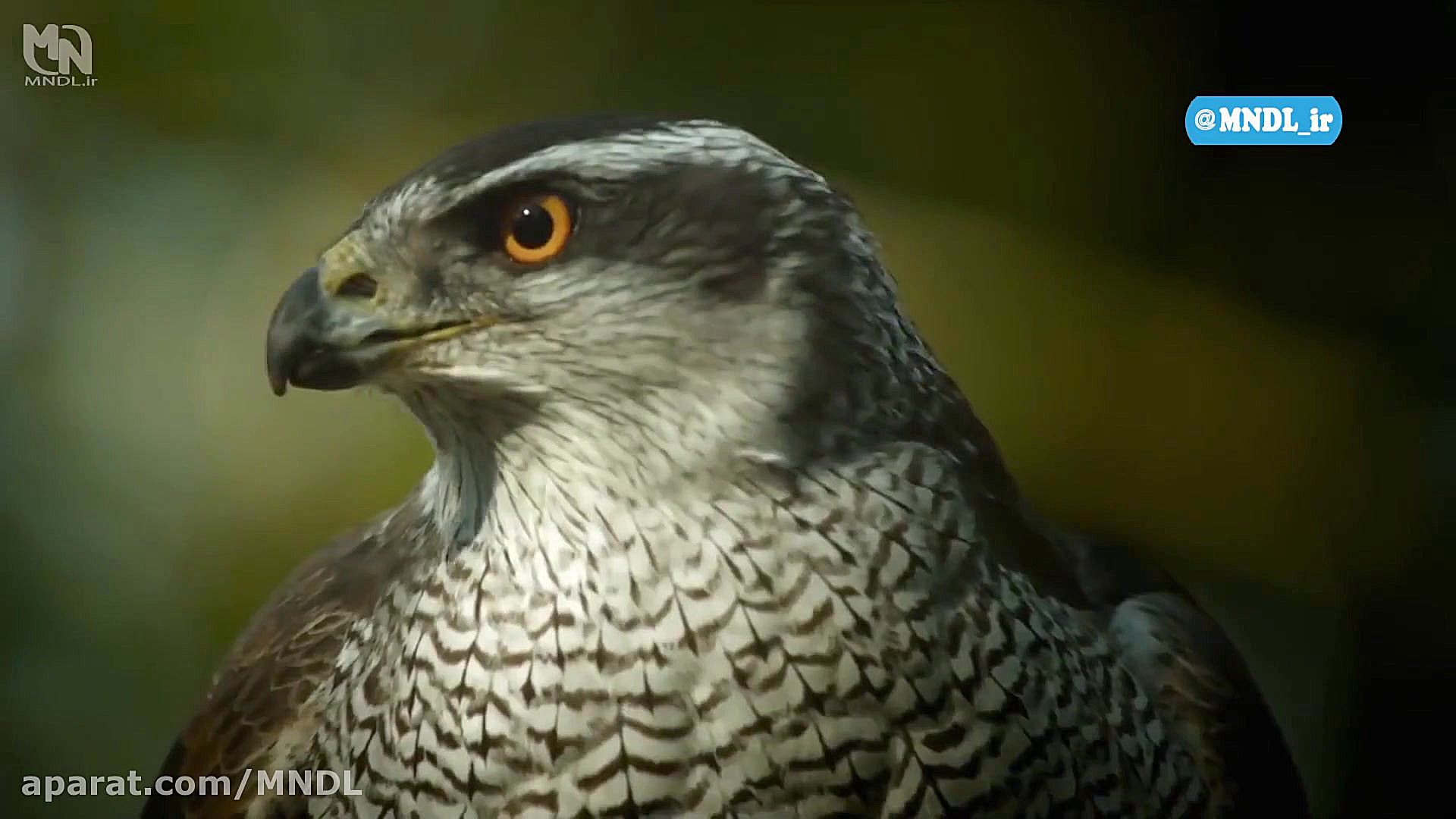 کره جنوبی: طبیعت رام نشده پنها...