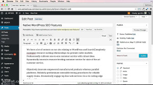 1  11 SEO  for  WordPress  برا...
