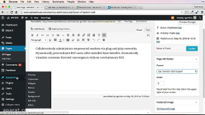 2  5 SEO  for  WordPress  برای...