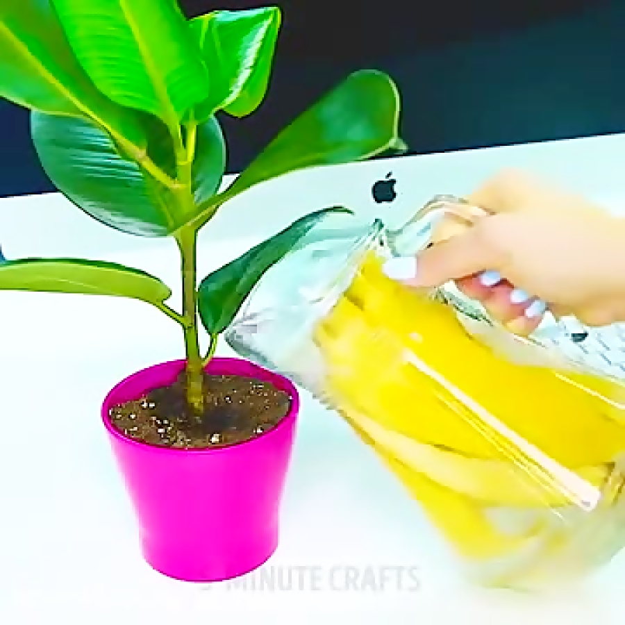 اموزش 32 ترفند دیدنی با استفاد...