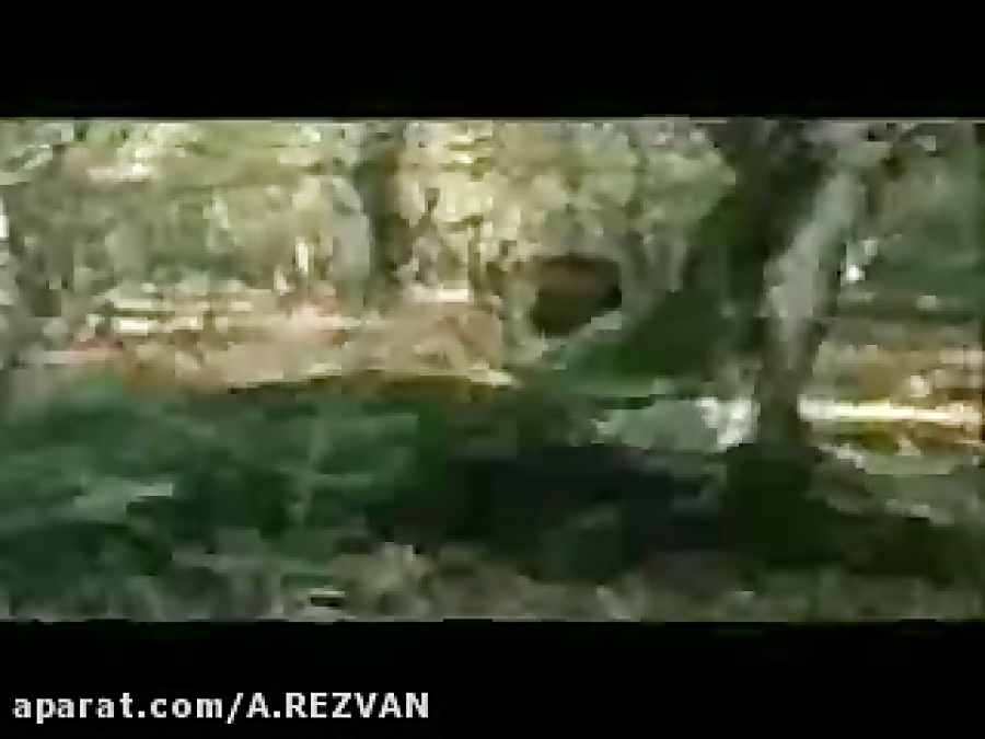 انیمیشن طنز انتخابات