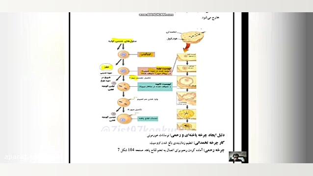 تدریس زیست فصل هفتم کلاس یازده...