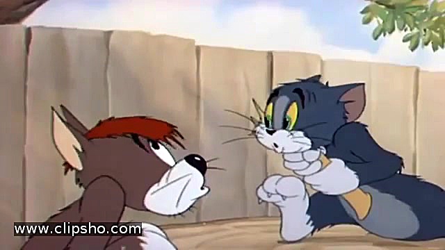 ویدیو کلیپ تام و جری&nbsp; فصل...