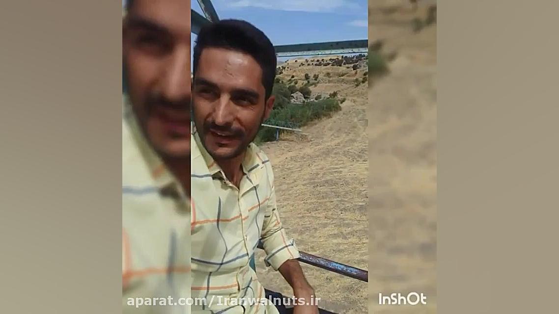 مناطق بکر و زیبای درختان بلوط...