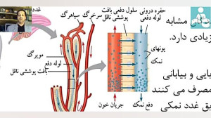 آموزش زیست شناسی پایه دهم گفتا...