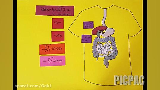 دستگاه گوارش تی شرت گوارشی بسا...