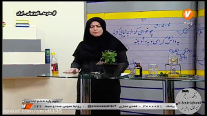 آموزش برگ فصل 11 علوم ششم از ش...