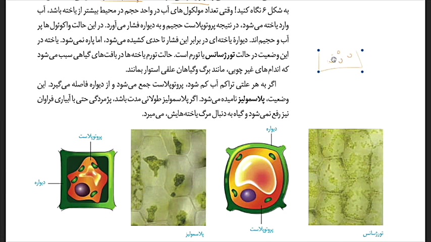 زیست دهم واکوئول