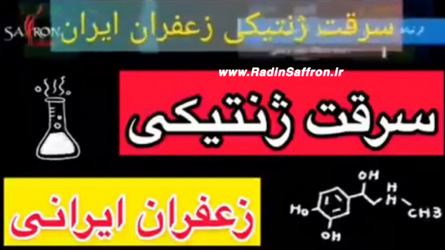 سرقت ژنتیکی زعفران ایرانی توسط...