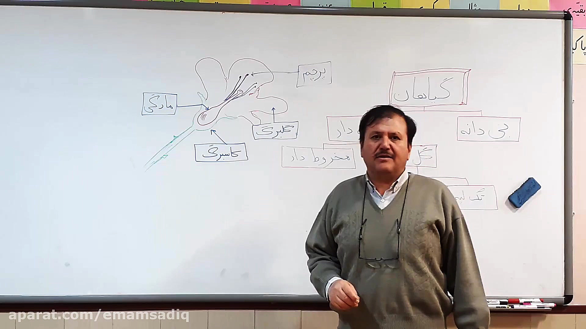 آموزش علوم چهارم دبستان  فصل گ...