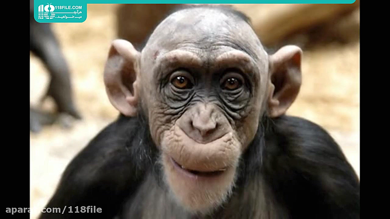 آموزش الفبا پیش دبستانی