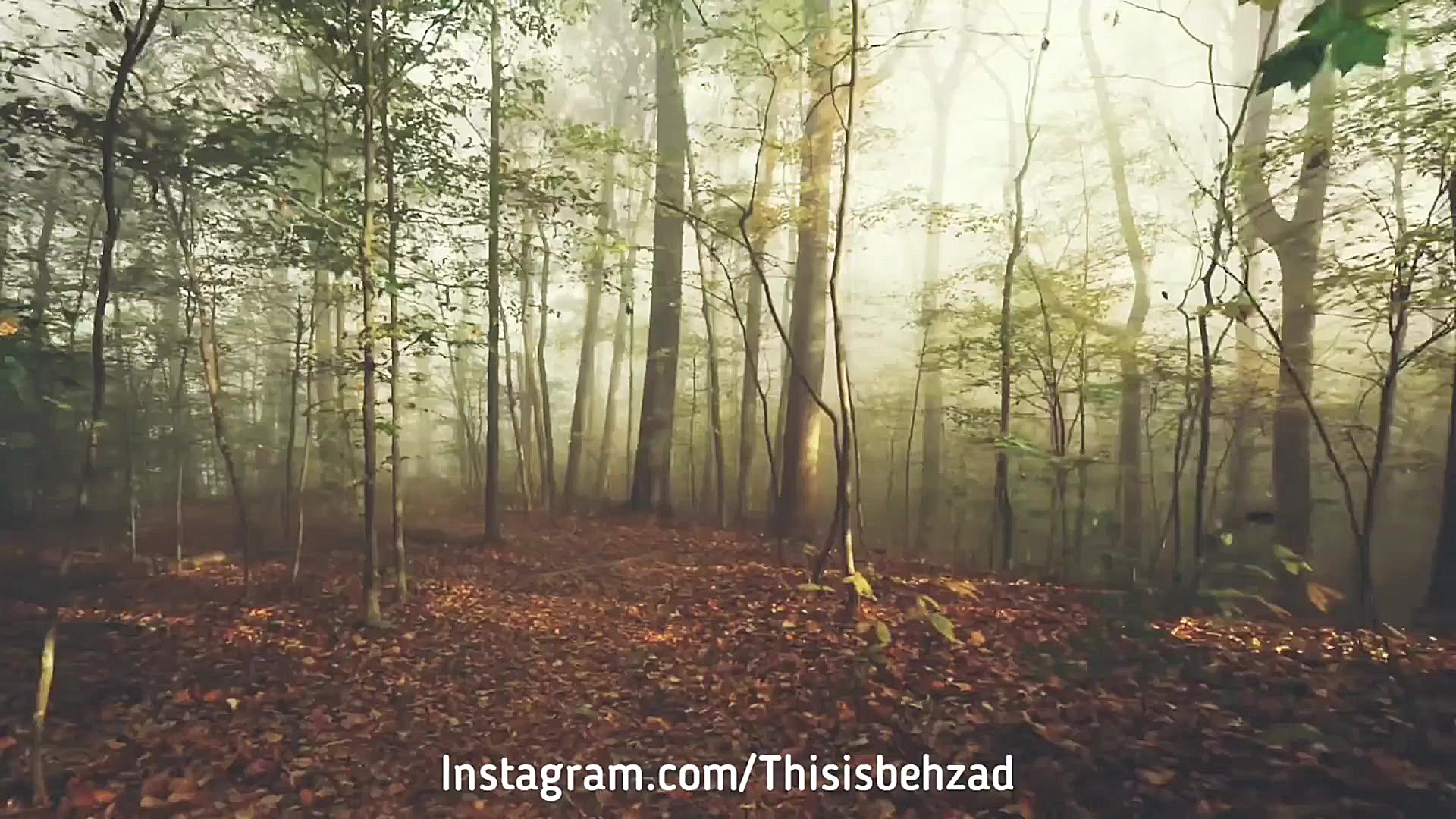 چشمهایش  بزرگ علوی