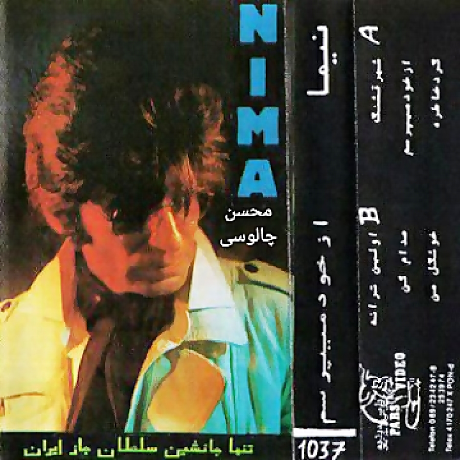 از خود می پرسم ، نیما