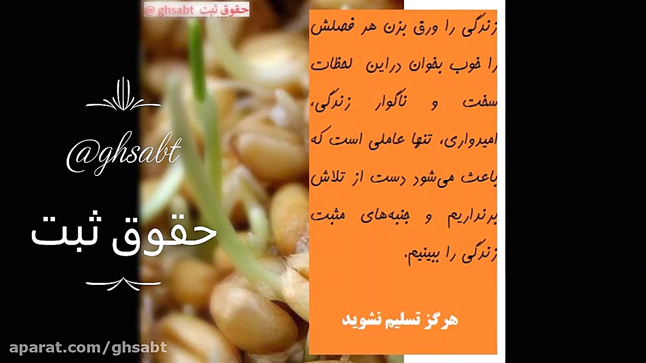 امید به زندگی