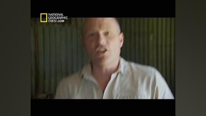 کرم های سگ که در کیست ها دارو...