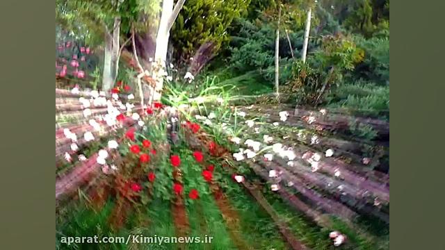 کافه خبروگزارش وعکس ازهادی ابر...