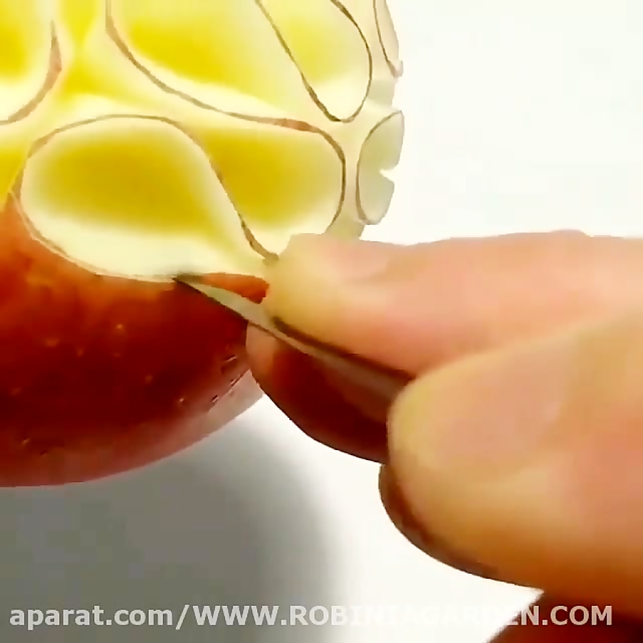 طراحی زیبای سیب به شکل گل