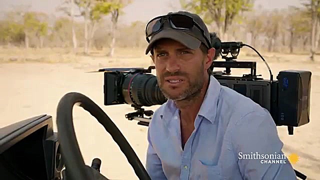 رازبقاء  مستندحیات وحش شکارشیر...