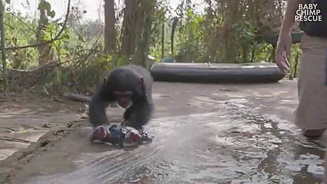 رازبقاء  مستندحیات وحش زندگی م...