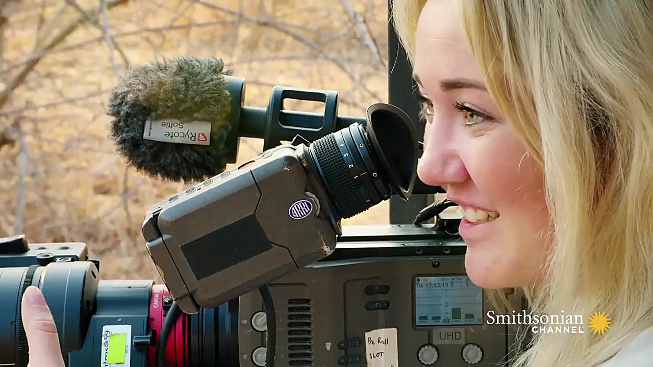 رازبقاء  مستندحیات وحش  آفرینش...