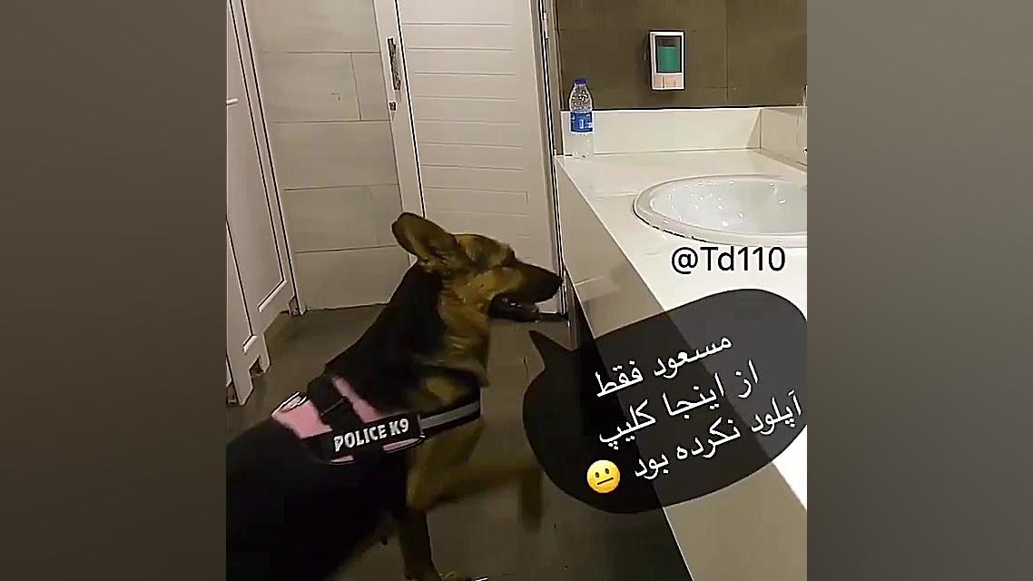 سگ که گوز میکنه لطفا پیج منو د...